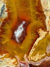Load image into Gallery viewer, High-Grade Turkish Agate with Botryoidal Chalcedony Vug – Rare Collector’s Gem
