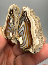 Load image into Gallery viewer, High-Grade Indonesian Sumatra Agate Pair – Vibrant Banded Chalcedony with Rich Color Zoning | Ethical Lapidary &amp; Collector Display Specimens
