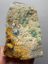 Load image into Gallery viewer, High-Grade Green Wavellite Collectors Specimen - Radiating Botryoidal Crystal Formation - Arkansas, USA
