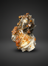 Load image into Gallery viewer, Natural Vanadinite on Matrix | Collector Mineral Specimen | Morocco
