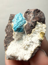 Load image into Gallery viewer, Rare Electric Blue Pentagonite on Druzy Matrix – Collector Mineral Specimen | India
