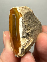 Load image into Gallery viewer, Premium Sumatra Agate (Banded Chalcedony) Display Specimen | Indonesia
