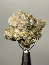 Load image into Gallery viewer, Pink Apatite on Matrix – Collector Mineral Specimen from Pakistan
