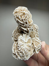 Load image into Gallery viewer, Desert Rose Selenite (Gypsum) — Mineral Display Specimen | Mexico
