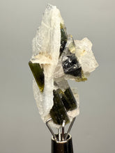 Load image into Gallery viewer, Green Cap Stak Nala Tourmaline with Cleavelandite – Haramosh Mountains, Pakistan | Thumbnail Specimen
