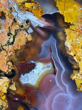 Load image into Gallery viewer, MUSEUM Turkish Agate with Intriguing Inclusions – Great Sticks, Banding and Eyes - Turkey
