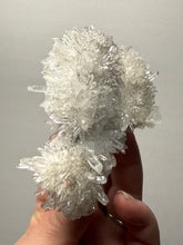 Load image into Gallery viewer, High-Grade Chrysanthemum Quartz (Needle Quartz) Spray Cluster | Jiangxi, China
