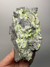 Load image into Gallery viewer, High-Grade Green Wavellite Collectors Specimen - Radiating Botryoidal Crystal Formation - Arkansas, USA
