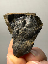 Load image into Gallery viewer, Botryoidal Stalactite Goethite (Iron Oxyhydroxide) Display Specimen | Turkey
