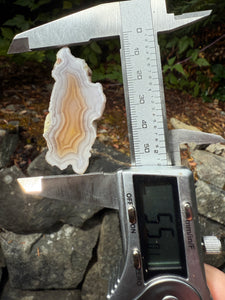 High-Grade Parallax Banded Laguna Agate – Soft Yellow & White Banding from Mexico