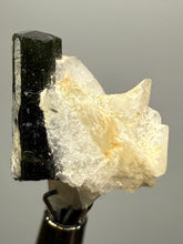 Load image into Gallery viewer, Dark Green Stak Nala Tourmaline and Cleavelandite – Haramosh Mountains, Pakistan | Thumbnail Specimen
