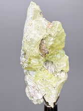 Load image into Gallery viewer, Vibrant Yellow Brucite Thumbnail Mineral Specimen | Collector Crystal from Killa Saifullah District in Balochistan Province, Pakistan
