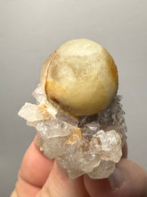 Load image into Gallery viewer, Rare Botryoidal Yellow Fluorite on Quartz Matrix  Collector Mineral Specimen – Maharashtra, India
