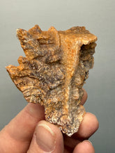 Load image into Gallery viewer, Chalcedony Quartz Rose Agate Collector Mineral Specimen – Morocco
