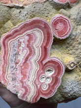 Load image into Gallery viewer, Rhodochrosite Free Form Collector Mineral Display Specimen — Argentina
