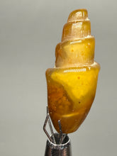 Load image into Gallery viewer, Agatized Gastropod Fossil Specimen | Morocco
