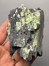 Load image into Gallery viewer, High-Grade Green Wavellite Collectors Specimen - Radiating Botryoidal Crystal Formation - Arkansas, USA
