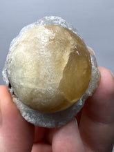 Load image into Gallery viewer, Rare Botryoidal Yellow Fluorite on Quartz Matrix  Collector Mineral Specimen – Maharashtra, India
