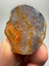 Load image into Gallery viewer, Lot of 4 Small Malawi Agate Halves – Polished Rare Colorful Collector Specimens
