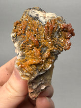 Load image into Gallery viewer, Natural Vanadinite on Matrix | Collector Mineral Specimen | Morocco
