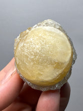 Load image into Gallery viewer, Rare Botryoidal Yellow Fluorite on Quartz Matrix  Collector Mineral Specimen – Maharashtra, India
