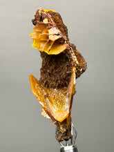 Load image into Gallery viewer, High-Grade Orange Wulfenite Collector Display Specimen | La Morita Mine, Chihuahua, Mexico
