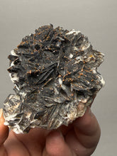 Load image into Gallery viewer, Natural Vanadinite on Matrix | Collector Mineral Specimen | Morocco
