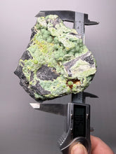 Load image into Gallery viewer, High-Grade Green Wavellite Collectors Specimen - Radiating Botryoidal Crystal Formation - Arkansas, USA
