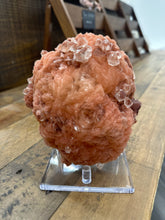 Load image into Gallery viewer, Red Druzy Apophyllite in Stilbite Flower VERY RARE
