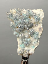 Load image into Gallery viewer, Blue-Green Chrysocolla in Botryoidal Chalcedony Cabinet Specimen | Indonesia
