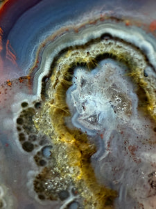 Museum Grade Turkish Agate Pair • Turkey • POLISHED