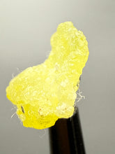 Load image into Gallery viewer, Vibrant Yellow Brucite Thumbnail Mineral Specimen | Collector Crystal from Killa Saifullah District in Balochistan Province, Pakistan
