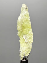 Load image into Gallery viewer, Vibrant Yellow Brucite Thumbnail Mineral Specimen | Collector Crystal from Killa Saifullah District in Balochistan Province, Pakistan
