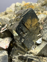 Load image into Gallery viewer, Marcasite, Pyrite &amp; Barite Cabinet Specimen | Bounhas Mine, Oumjrane, Morocco
