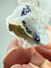 Load image into Gallery viewer, RARE COMBO Moroccan Ram’s Horn Selenite (Gypsum) with Purple Fluorite Display Specimen
