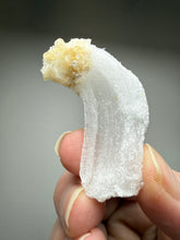 Load image into Gallery viewer, RARE COMBO Moroccan Ram’s Horn Selenite (Gypsum) with Yellow Botryoidal Fluorite Display Specimen
