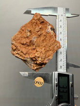 Load image into Gallery viewer, Chalcedony Quartz Rose Agate Collector Mineral Specimen – Morocco
