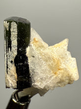 Load image into Gallery viewer, Dark Green Stak Nala Tourmaline and Cleavelandite – Haramosh Mountains, Pakistan | Thumbnail Specimen
