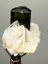 Load image into Gallery viewer, Dark Green Cap Stak Nala Tourmaline with Cleavelandite Flower – Haramosh Mountains, Pakistan | Thumbnail Specimen
