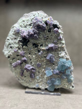 Load image into Gallery viewer, Bi Color Purple Blue Cubic Fluorite + Gem Sphalerite on Quartz • China
