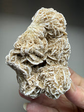 Load image into Gallery viewer, Desert Rose Selenite (Gypsum) — Mineral Display Specimen | Mexico
