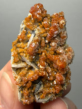 Load image into Gallery viewer, Natural Vanadinite on Matrix | Collector Mineral Specimen | Morocco
