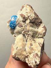 Load image into Gallery viewer, Rare Electric Blue Cavansite on Druzy Matrix – Collector Mineral Specimen | India
