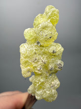 Load image into Gallery viewer, Vibrant Yellow Brucite Thumbnail Mineral Specimen | Collector Crystal from Killa Saifullah District in Balochistan Province, Pakistan
