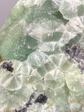 Load image into Gallery viewer, High-Grade Green Wavellite Collectors Specimen - Radiating Botryoidal Crystal Formation - Arkansas, USA
