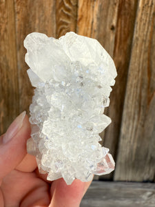 Clear Apophyllite Mineral Specimen • Maharashtra, India