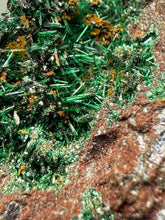 Load image into Gallery viewer, Brochantite Collector Mineral Specimen – Vivid Green Copper Crystals from Morocco
