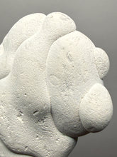 Load image into Gallery viewer, Chichaoua Menalite “Fairy Stone” Concretion | Natural Collector Display Specimen | Morocco
