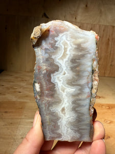 PREMIUM DISPLAY or LAPIDARY SLAB • Moroccan “Ghost Agate” White Seam Plum Agate • End Cap • High Atlas Mountains • Unpolished