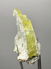 Load image into Gallery viewer, Vibrant Yellow Brucite Thumbnail Mineral Specimen | Collector Crystal from Killa Saifullah District in Balochistan Province, Pakistan
